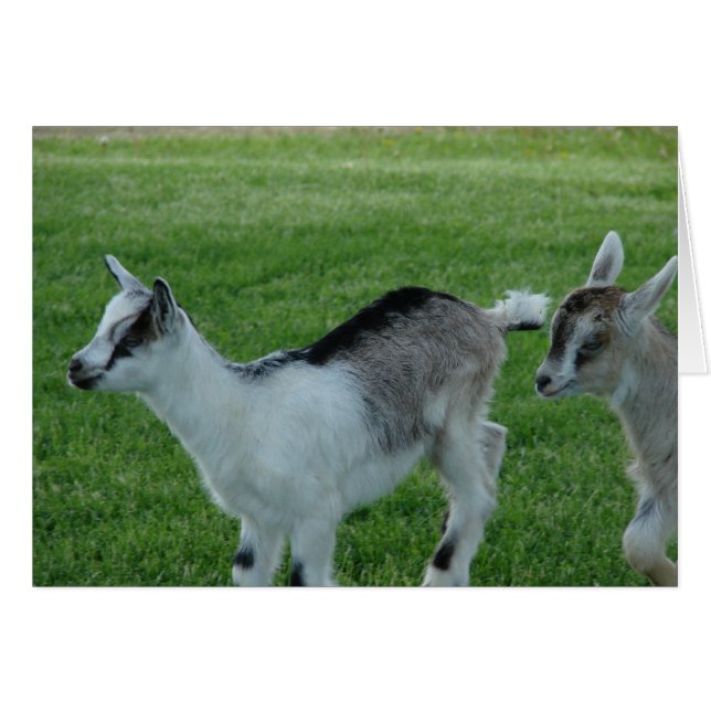 Grau und Rot (Vorderseite (Horizontal))