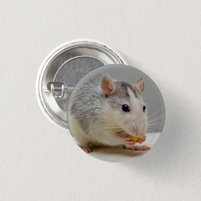 Grau und Weiße Ratte Button (Vorne & Hinten)