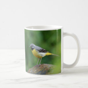 Grau Wagtail - Vogel Kaffeetasse