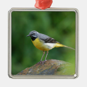 Grau Wagtail - Vogel Silbernes Ornament