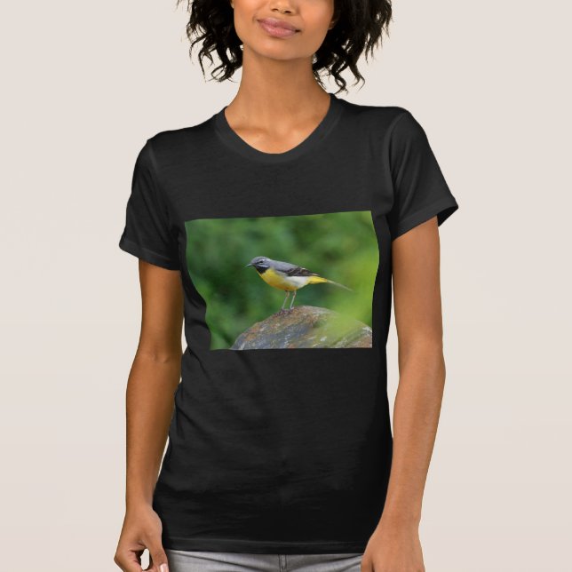Grau Wagtail - Vogel T-Shirt (Vorderseite)