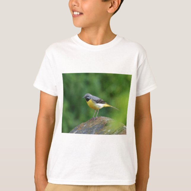 Grau Wagtail - Vogel T-Shirt (Vorderseite)