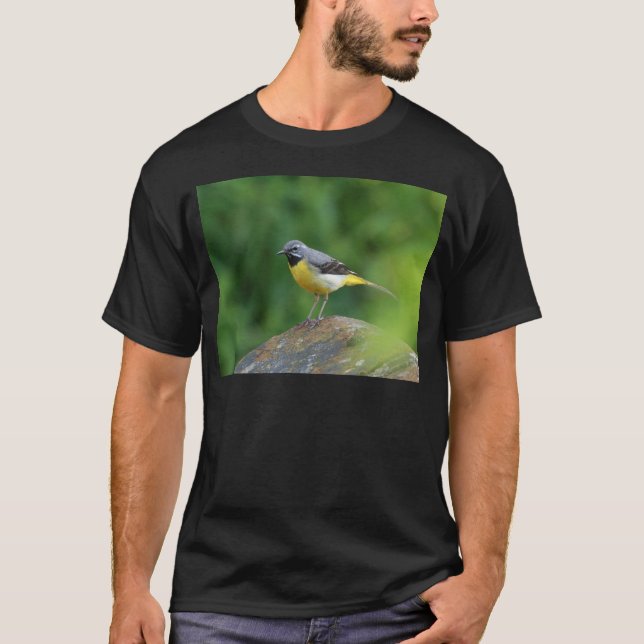 Grau Wagtail - Vogel T-Shirt (Vorderseite)