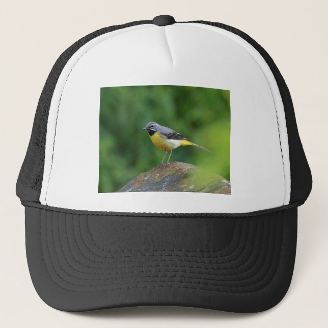 Grau Wagtail - Vogel Truckerkappe (Vorderseite)