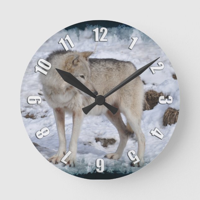 Grau Wolf im Winter Snow Wildlife Foto Runde Wanduhr (Vorderseite)