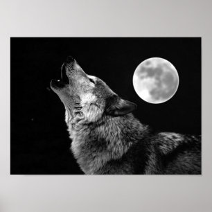 Grau Wolf & Moon Poster Print