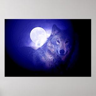 Grau Wolf & Moon Poster Print - Blaue Nachtwölfe