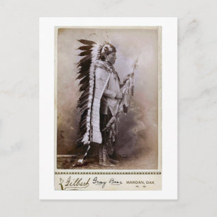 Graubär 1880 postkarte