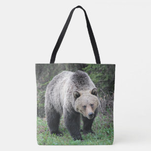 Graubär stehend in einer Waldlichtung