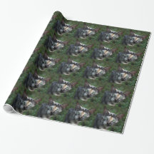 Graubraun-weiße Katze mit grünen Augen