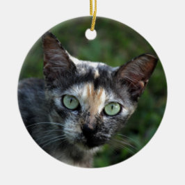 Graubraun-weiße Katze mit grünen Augen Keramik Ornament