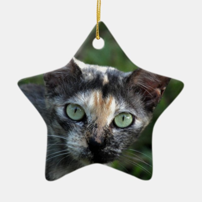 Graubraun-weiße Katze mit grünen Augen Keramikornament (Vorne)