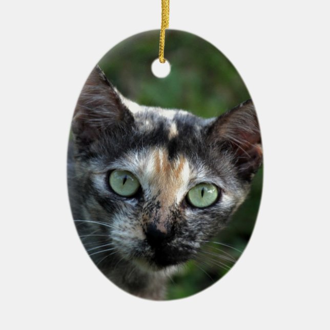 Graubraun-weiße Katze mit grünen Augen Keramikornament (Vorne)