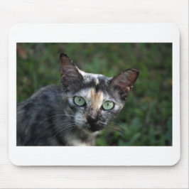 Graubraun-weiße Katze mit grünen Augen Mousepad