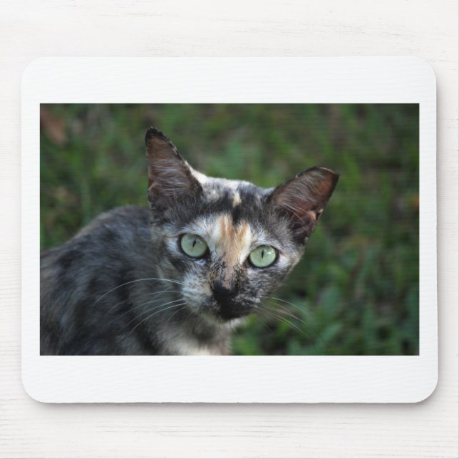 Graubraun-weiße Katze mit grünen Augen Mousepad (Vorne)