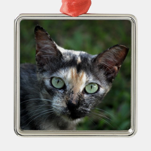 Graubraun-weiße Katze mit grünen Augen Ornament Aus Metall (Vorne)