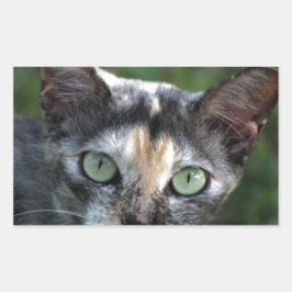 Graubraun-weiße Katze mit grünen Augen Rechteckiger Aufkleber