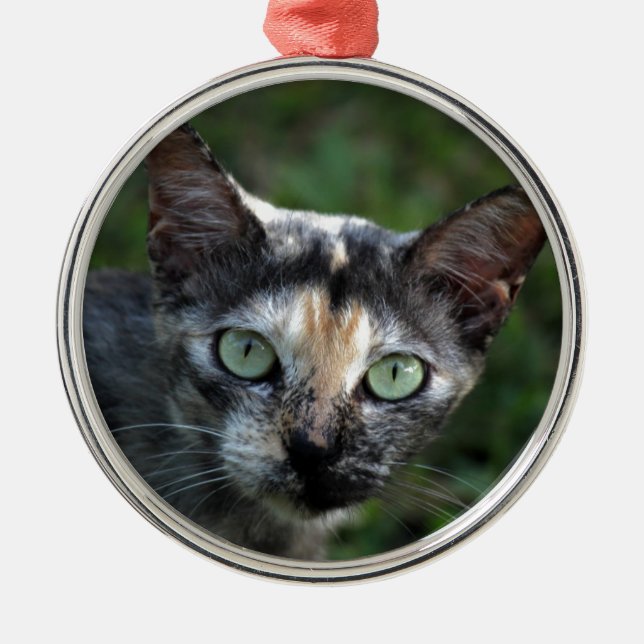 Graubraun-weiße Katze mit grünen Augen Silbernes Ornament (Vorne)