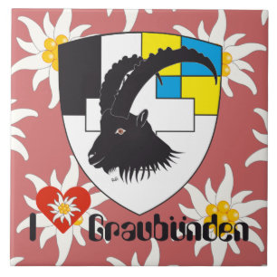 Graubünden Grischun Grigioni Fliese