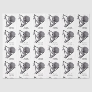 Graue Alien, die Wahrheit ist da draußen Seidenpapier