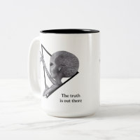 Graue Alien, die Wahrheit ist da draußen