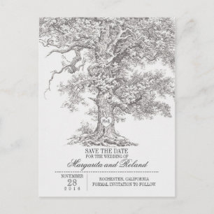 graue alte Eiche Save-the-Date-Postkarten Ankündigungspostkarte