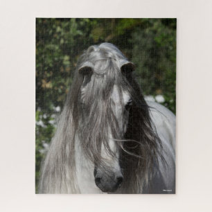 Graue andalusische Stallion Headshot Long Mane Puzzle