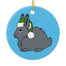 Graue arktische Hasen mit