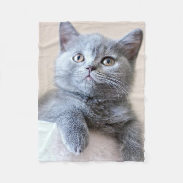 Graue britische Shorthair Katze Fleecedecke (Vorderseite)