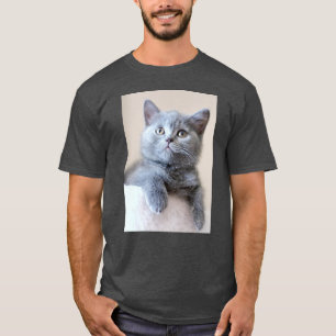 Graue britische Shorthair Katze T-Shirt