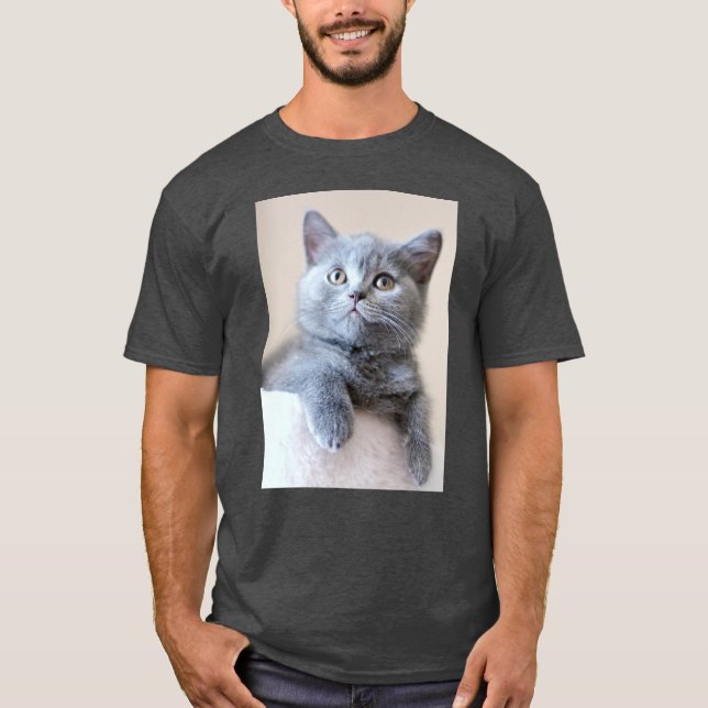 Graue britische Shorthair Katze T-Shirt (Vorderseite)