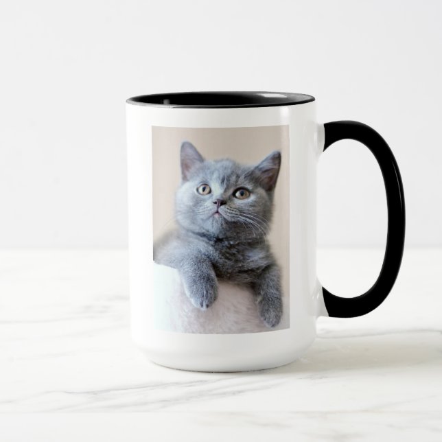 Graue britische Shorthair Katze Tasse (Rechts)