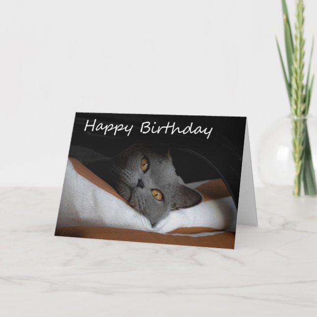 Graue Cat Happy Birthday Card Karte (Vorderseite)
