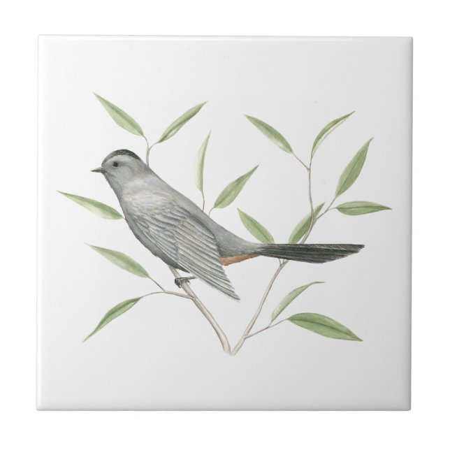 Graue Catbird Bird Art Fliese (Vorderseite)