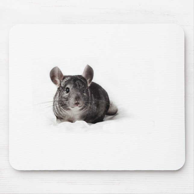 Graue Chinchilla niedlich in der Decke Mousepad (Vorne)