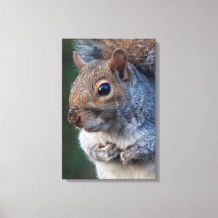 Graue Eichhörnchen gezackte Canvas Print Leinwanddruck