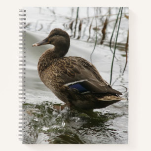 Graue Ente auf dem dunklen See Notizbuch