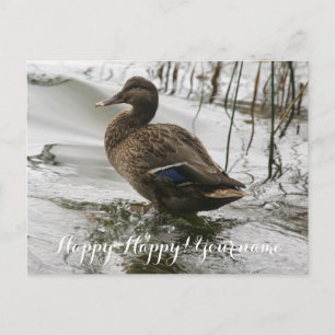 Graue Ente auf dem dunklen See Postkarte