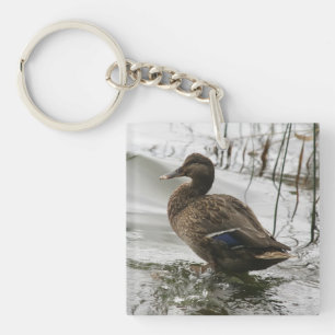 Graue Ente auf dunklem See Schlüsselanhänger