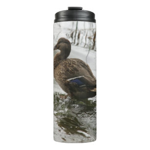 Graue Ente auf dunklem See Thermosbecher