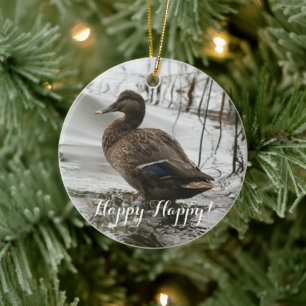 Graue Ente im Dunkeln des Sees Keramik Ornament