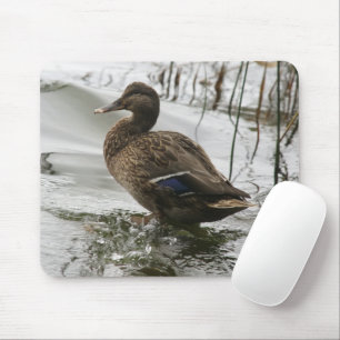 Graue Ente im Dunkeln des Sees Mousepad