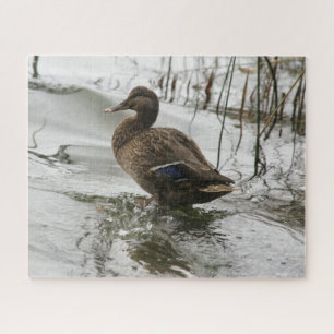 Graue Ente im Dunkeln des Sees Puzzle