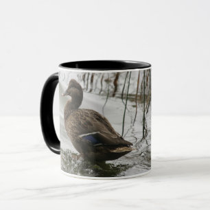Graue Ente im Dunkeln des Sees Tasse