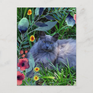 Graue flauschige Katze im Garten mit Blumen Postkarte