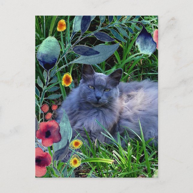 Graue Fluffy Katze im Garten mit Blume Postkarte (Vorderseite)