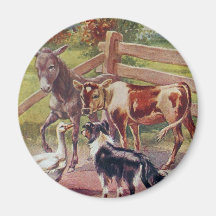 Graue Gans mit all seinen Freunden