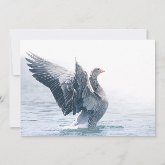 Graue Gänsehaut-Natur-Fotokarte (Vorderseite)