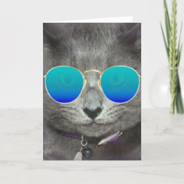 Graue Geburtstagskatze mit Sonnenbrille Karte