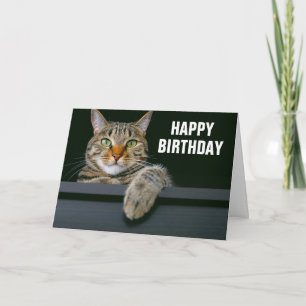Graue getigerte Katze Gesicht   Alles Gute zum Geb Karte